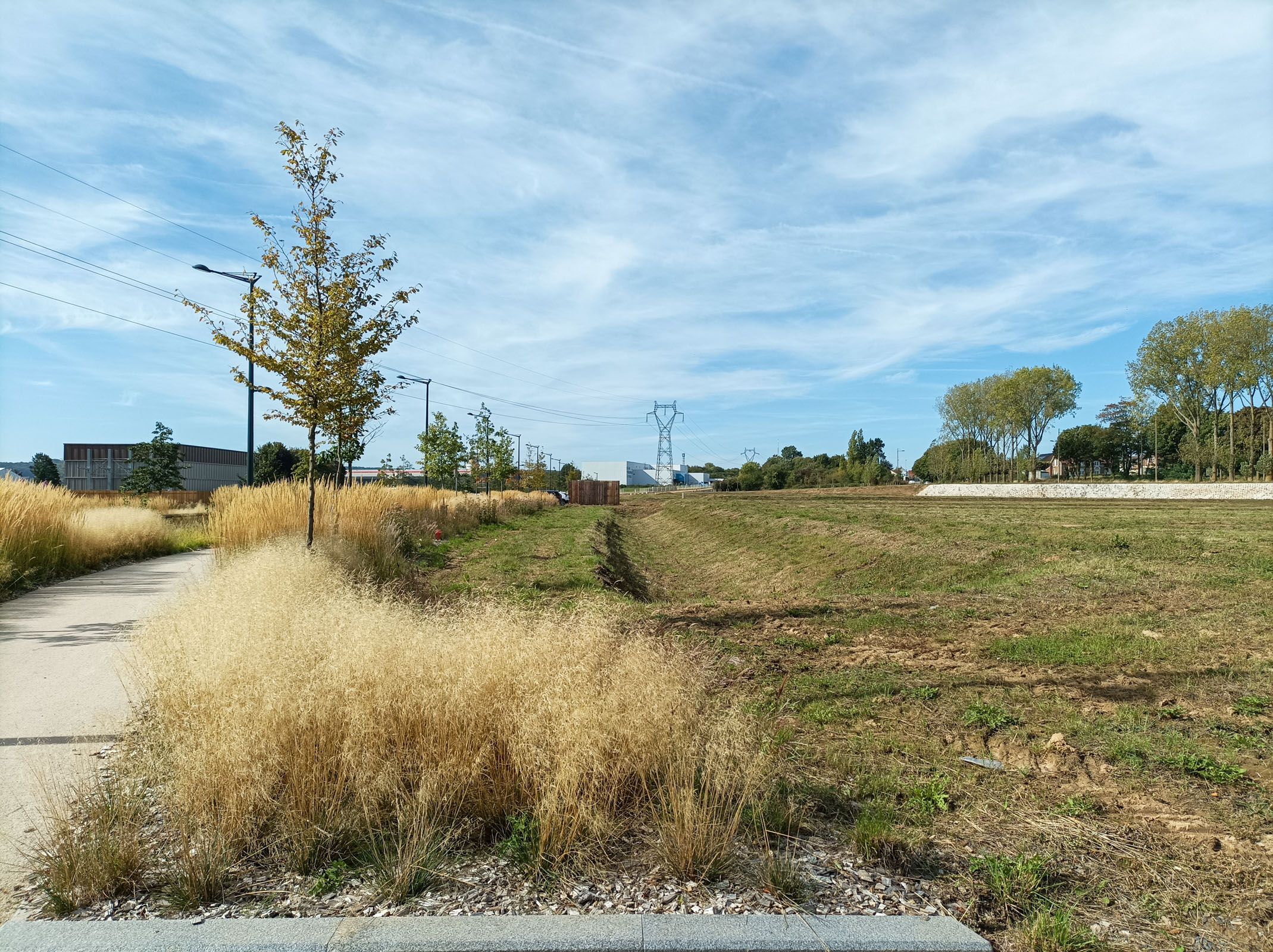 QUADRAPARC EXTENSION CALL-2